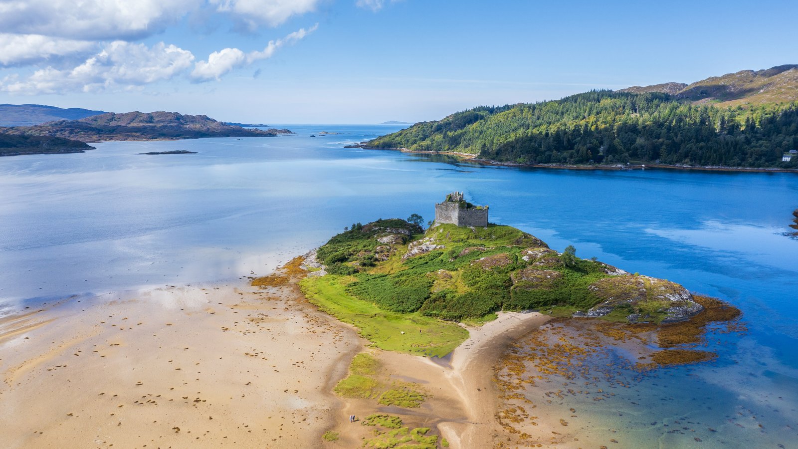 personel background image